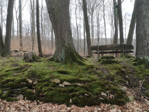 Rundweg Saufang