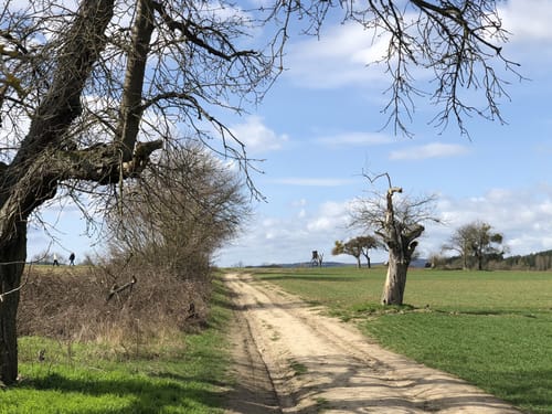 Spayer BlickinsTal (Premiumspazierwanderweg)