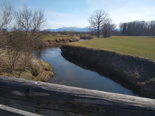 Thanner Filze (Wanderweg 6)