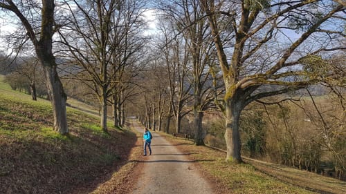 Kulturwanderweg Jagst Etappe 4: Jagsthausen - Westernhausen