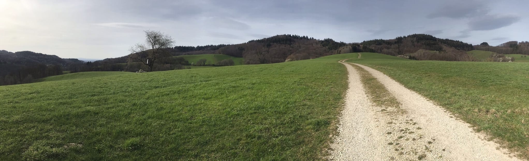 Rundwanderweg Gorxheimertal 5: Sonnen-Weg - Hessen, Deutschland | AllTrails