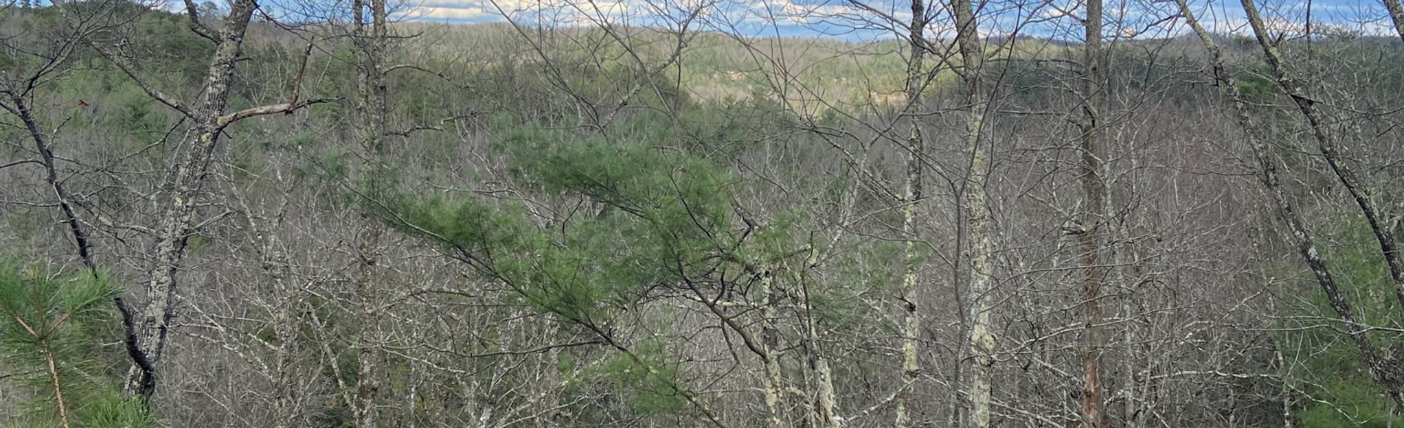 AllTrails Buck Trail Via Koomer Ridge Trail 135 Reviews, Map Kentucky