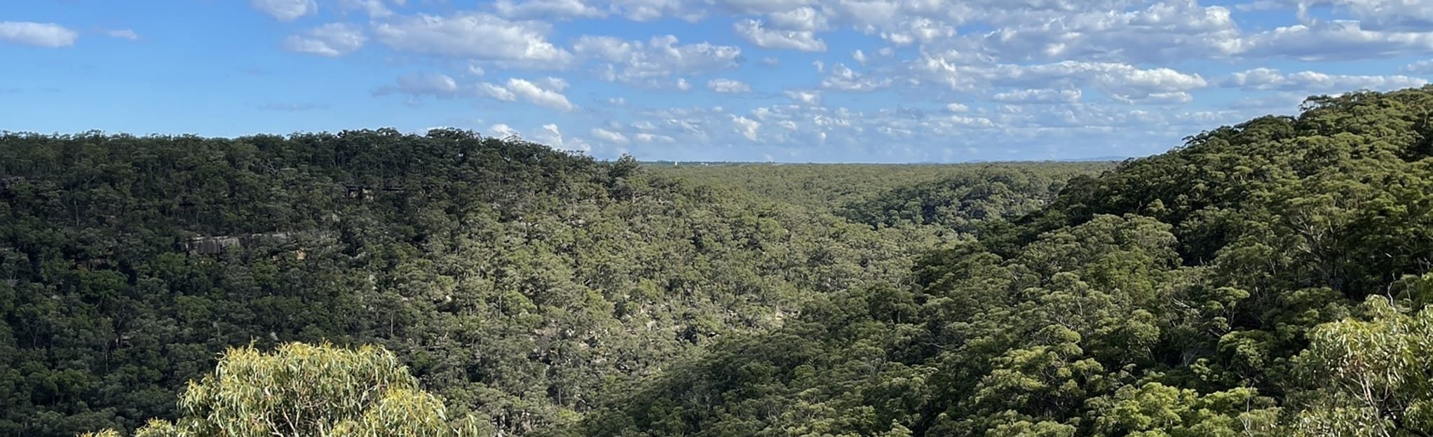 AllTrails O'Hares Creek Lookout 57 Reviews, Map New South Wales