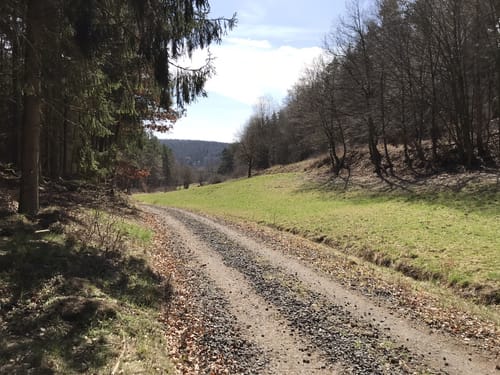 Röhn-Rundweg 3 Bad Salzschlirf