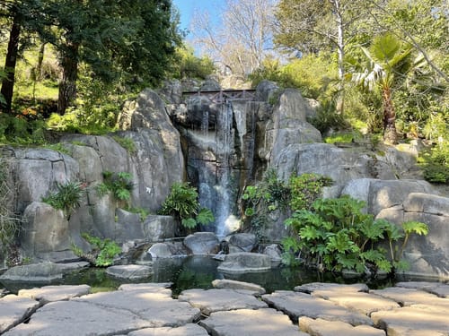 Best trail running trails in Golden Gate Park AllTrails