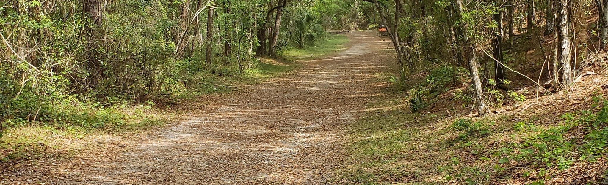 Whispering Pines City Park: Green Trail: 7 Reviews, Map - Florida ...