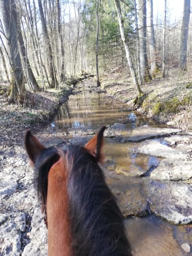 Von der Mettenbacher Mühle zum Furtweg
