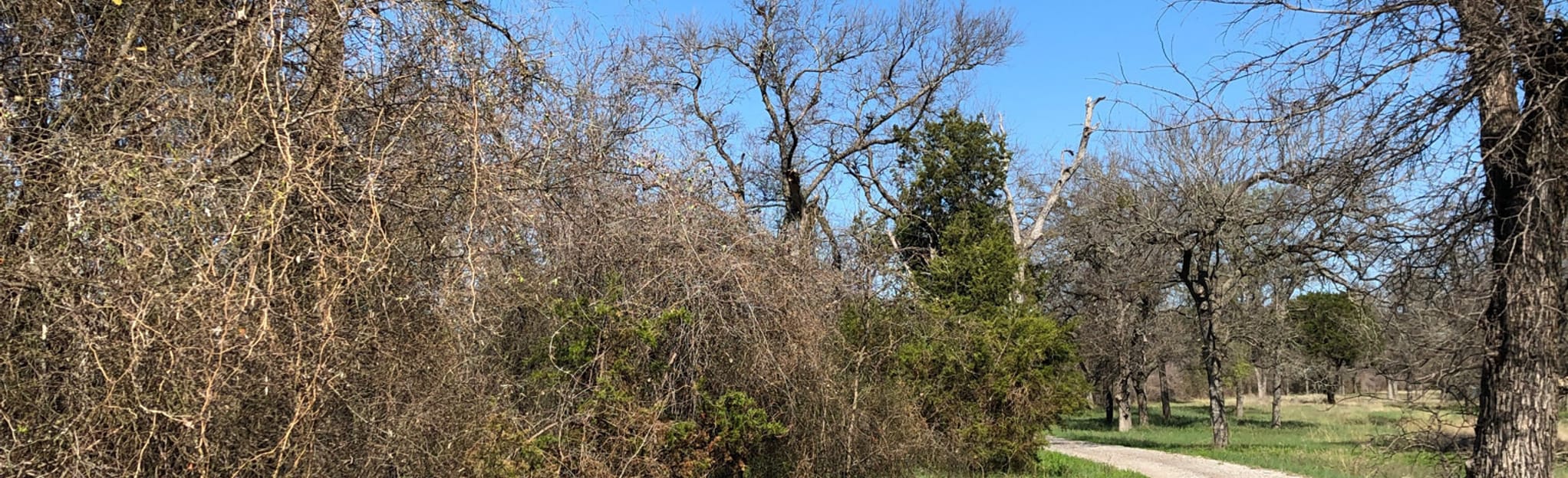 Brazos River Trail to the Dam 25 Reviews, Map Texas AllTrails