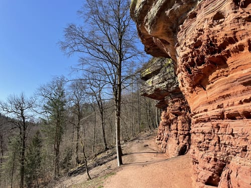 Les Falaises Rouges d'Altschlossfelsen