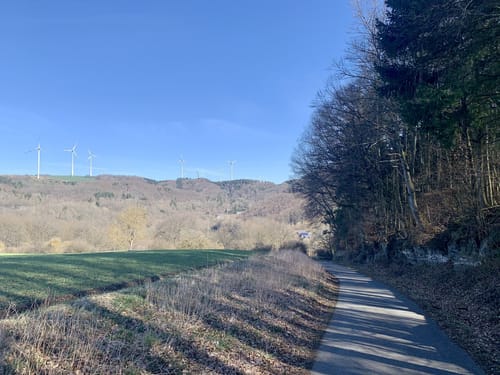 Waldseepfad Rieden (Traumpfad)