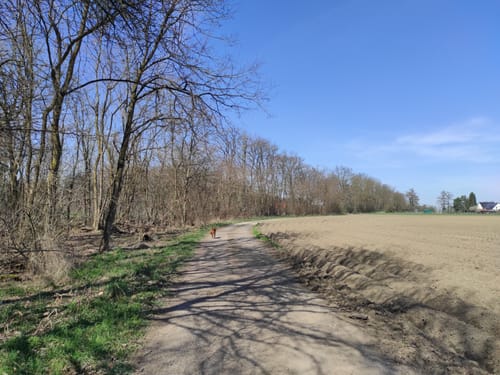 Rund um Schloss Lembeck