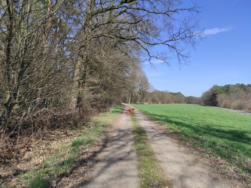RSC Dorsten: Permanente CTF-Etappenfahrt – Etappe 3