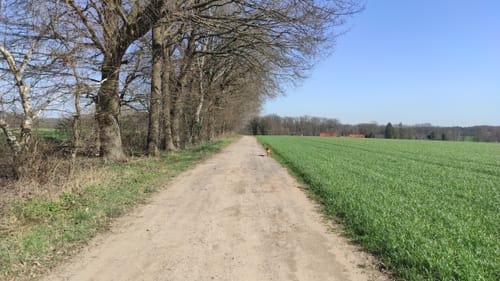 Rund um Schloss Lembeck