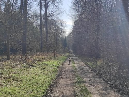 Rund um Schloss Lembeck