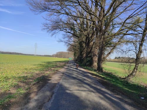 Rund um Schloss Lembeck