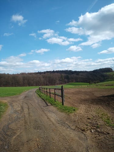 Am Trillbach bei Kürrenberg