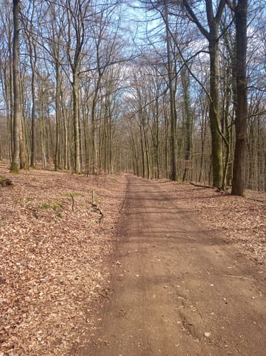 Am Trillbach bei Kürrenberg