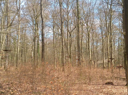 Am Trillbach bei Kürrenberg
