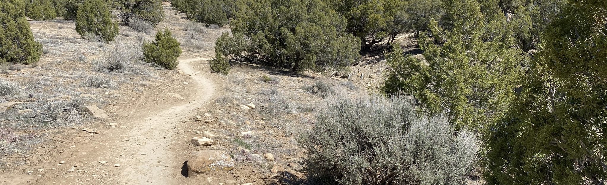 Chutes and Ladders Loop Trail 27 Reviews, Map Colorado AllTrails