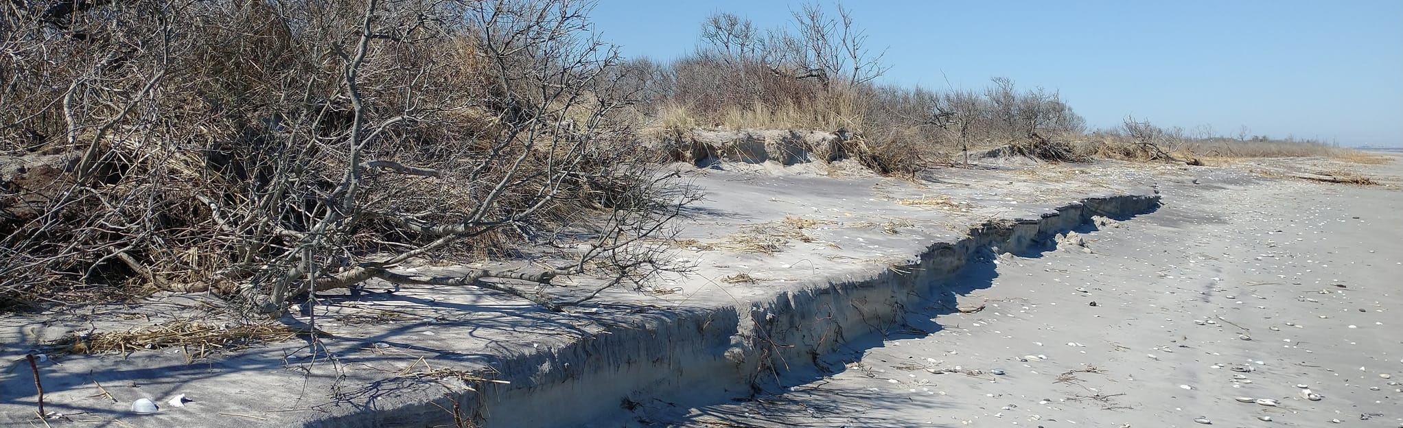 Brigantine Inlet Lookout 34 Reviews, Map New Jersey AllTrails