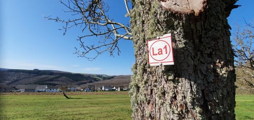 Runde zwischen Lampaden und Geisemerich