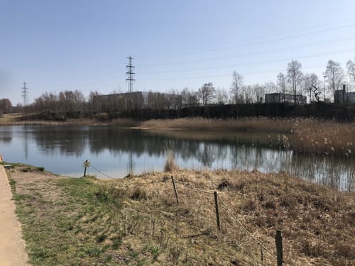 Norderstedt: Stadtparksee - Moorbekpark