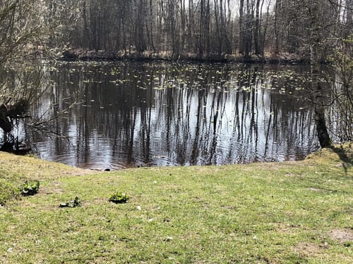 Norderstedt: Stadtparksee - Moorbekpark
