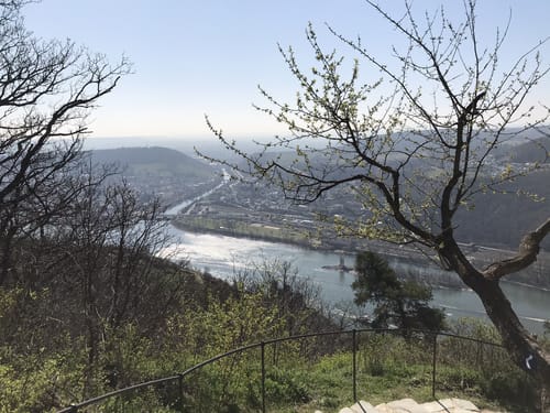 Rheinsteig Etappe 17: Lorch - Rüdesheim