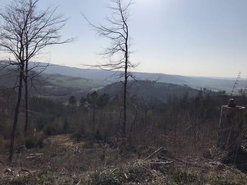 Um den Buchenberg herum