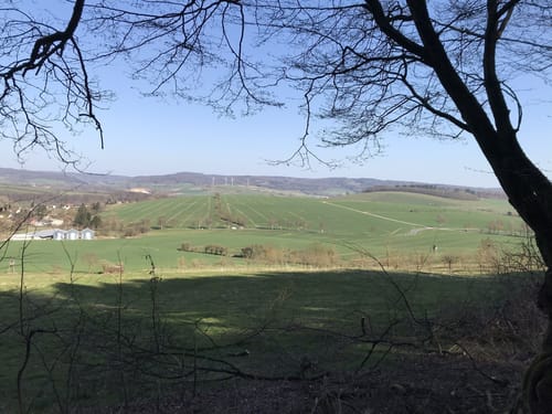 Um den Buchenberg herum