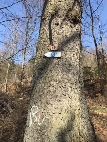 Um den Buchenberg herum