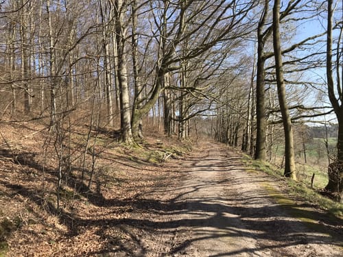 Um den Buchenberg herum