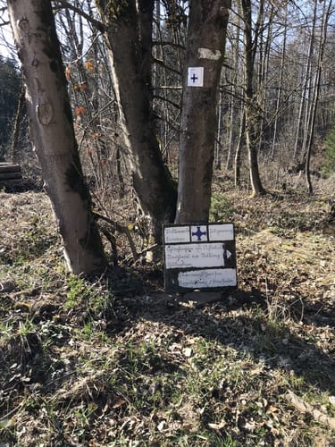 Um den Buchenberg herum