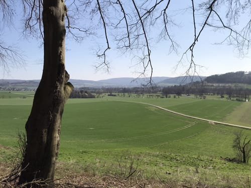 Um den Buchenberg herum