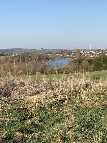 Rund um den Absinkweiher Hahnwiese