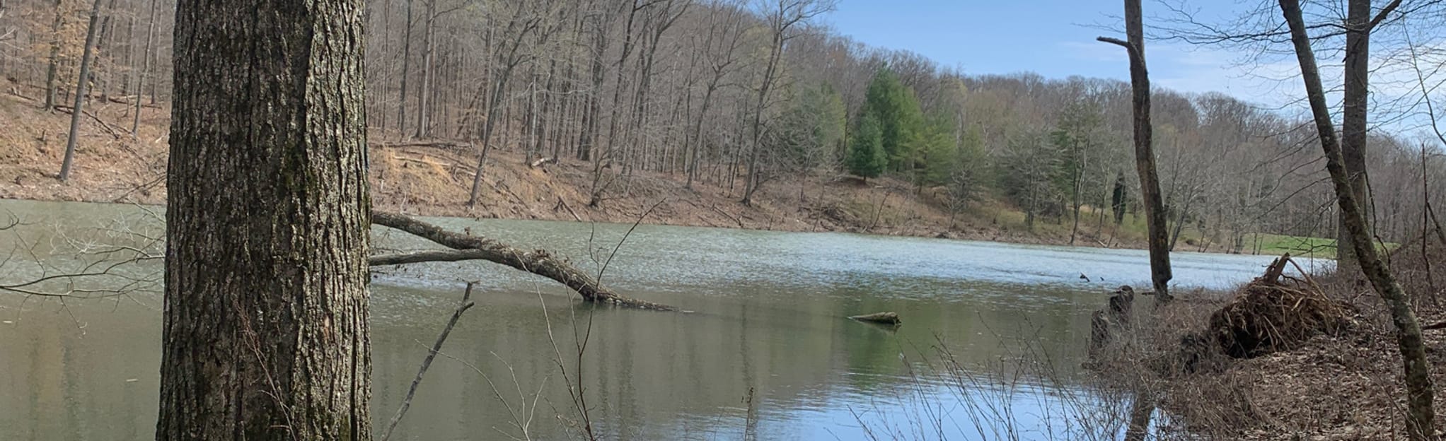 Twin Lakes, Kyana, Firetower, Foxey Hollow, South Ridge Trail Loop 161