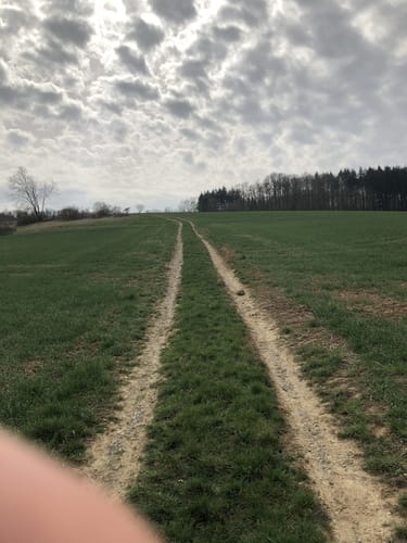 Rund um Impfingen
