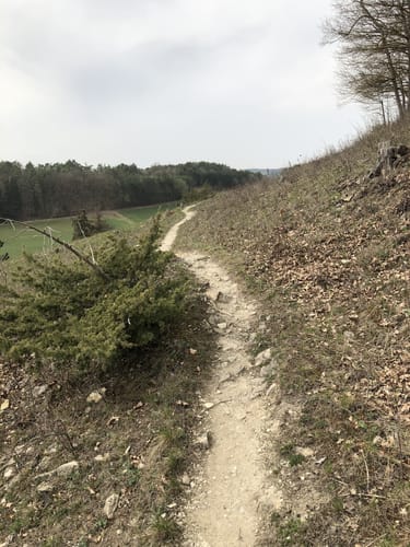 Rund um Impfingen