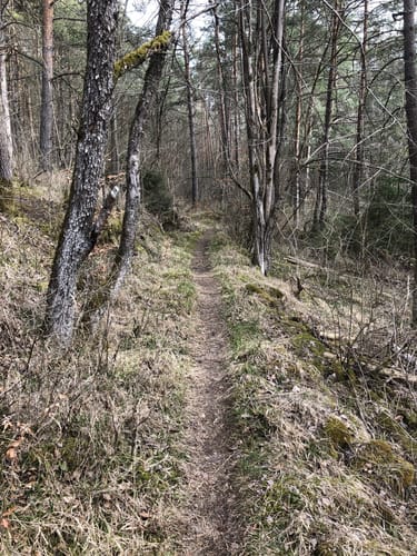 Rund um Impfingen