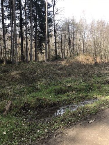Durchs Schlossholz