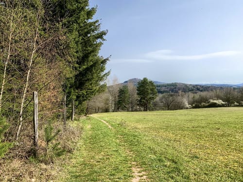 Rimbach-Steig (Premiumwanderweg)