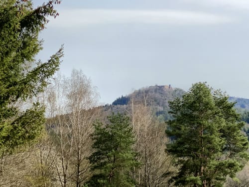 Rimbach-Steig (Premiumwanderweg)