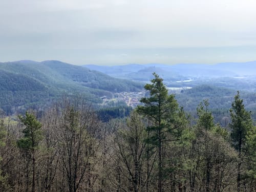 Rimbach-Steig (Premiumwanderweg)