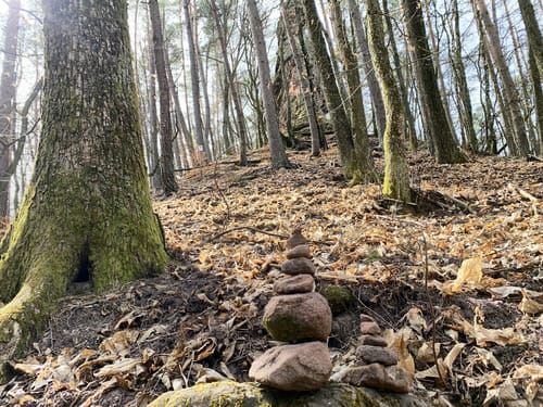 Rimbach-Steig (Premiumwanderweg)