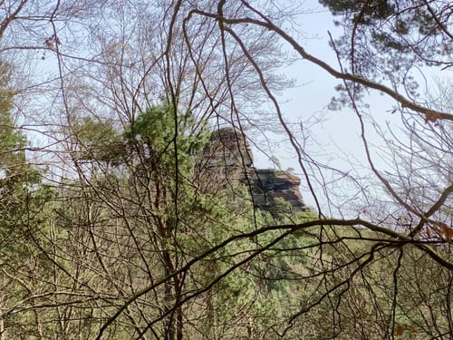 Rimbach-Steig (Premiumwanderweg)