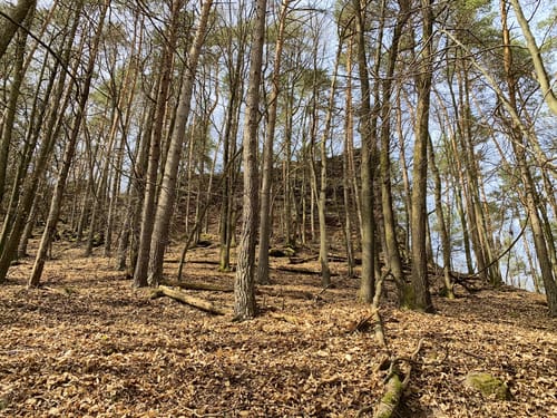 Rimbach-Steig (Premiumwanderweg)