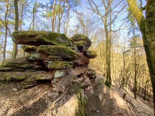 Rimbach-Steig (Premiumwanderweg)
