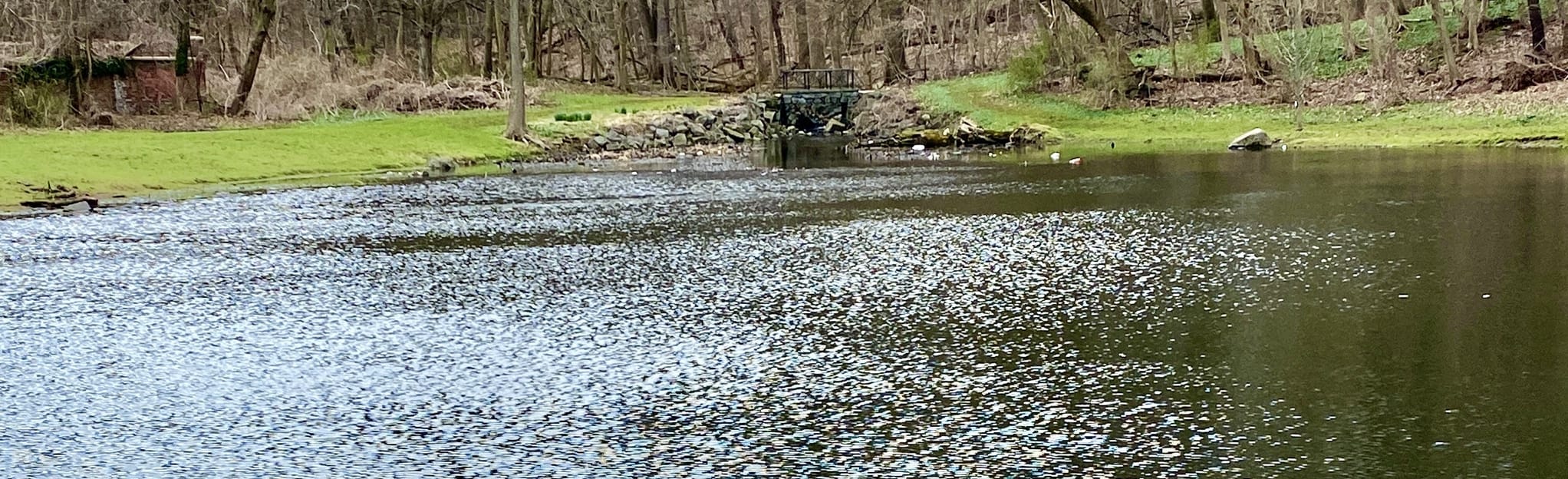 Goodhue Park to Allison Pond 16 Reviews, Map New York AllTrails