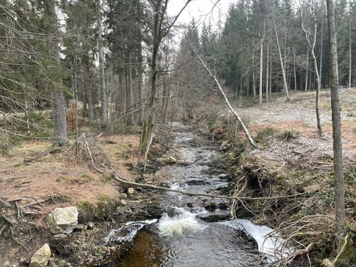 Eifelsteig Etappe 2: Roetgen - Monschau [CLOSED]