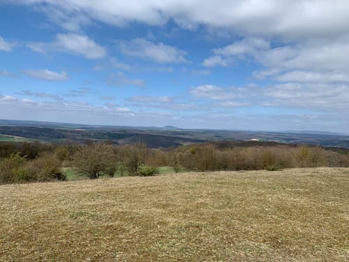 Sodenberg und Tannenberg ab Obereschenbach